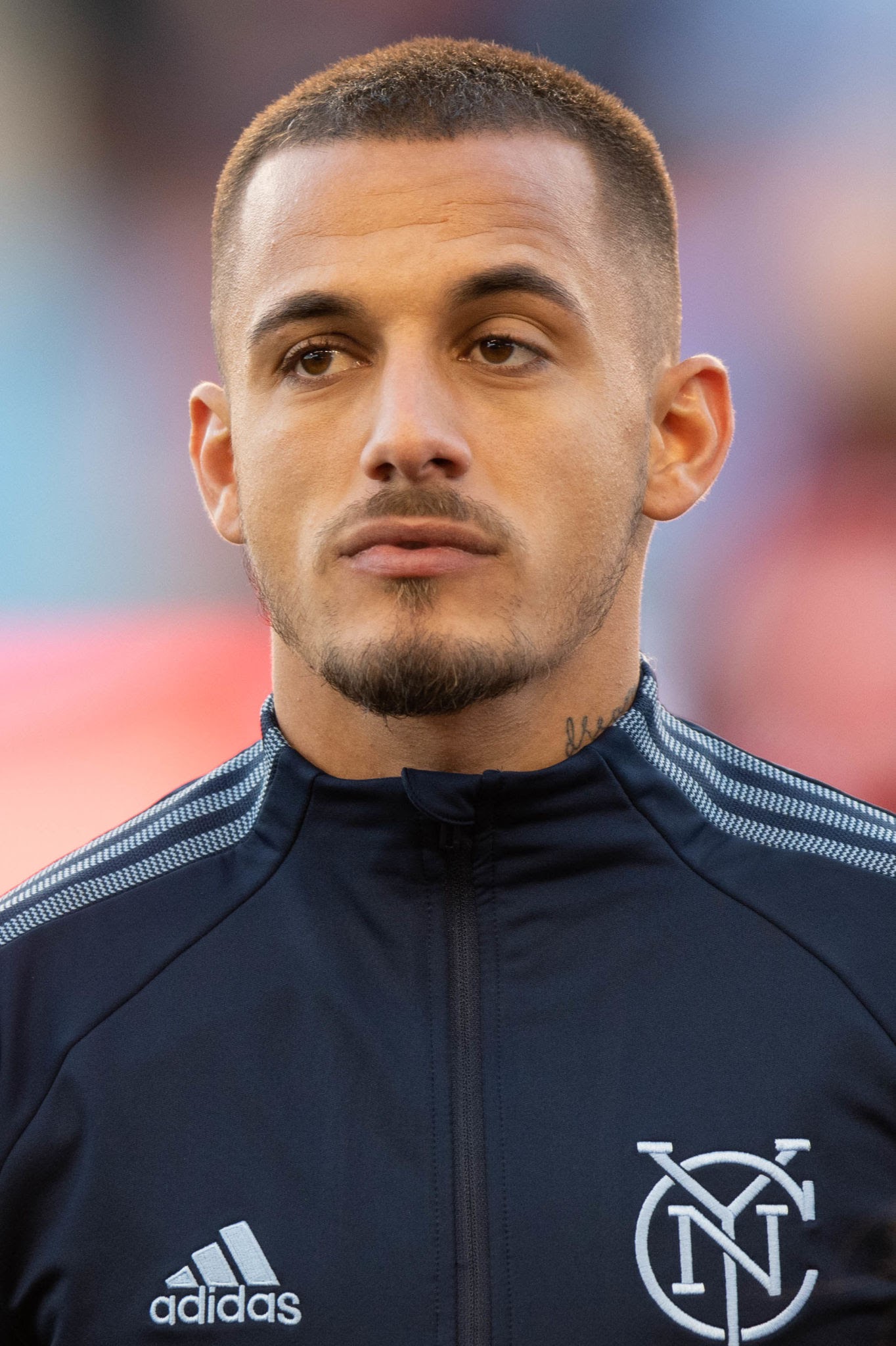 Șoc în Liga 1!  Dinamo București face un transfer de ultim moment care îi va lăsa pe toți fără cuvinte…